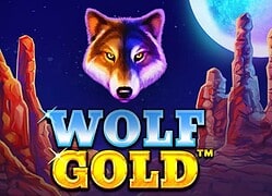 Wolf G MyStake Casino Game  MyStake Casino Online