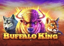 Buffalo King MyStake Casino Slot  MyStake Casino Online