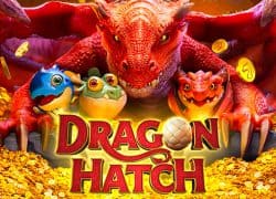 Dragon Hatch MyStake Casino Game  MyStake Casino Online