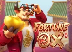 Fortune Ox MyStake Casino Game  MyStake Casino Online